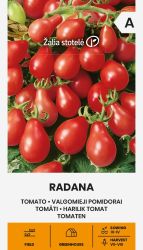 Tomato Radana Seed